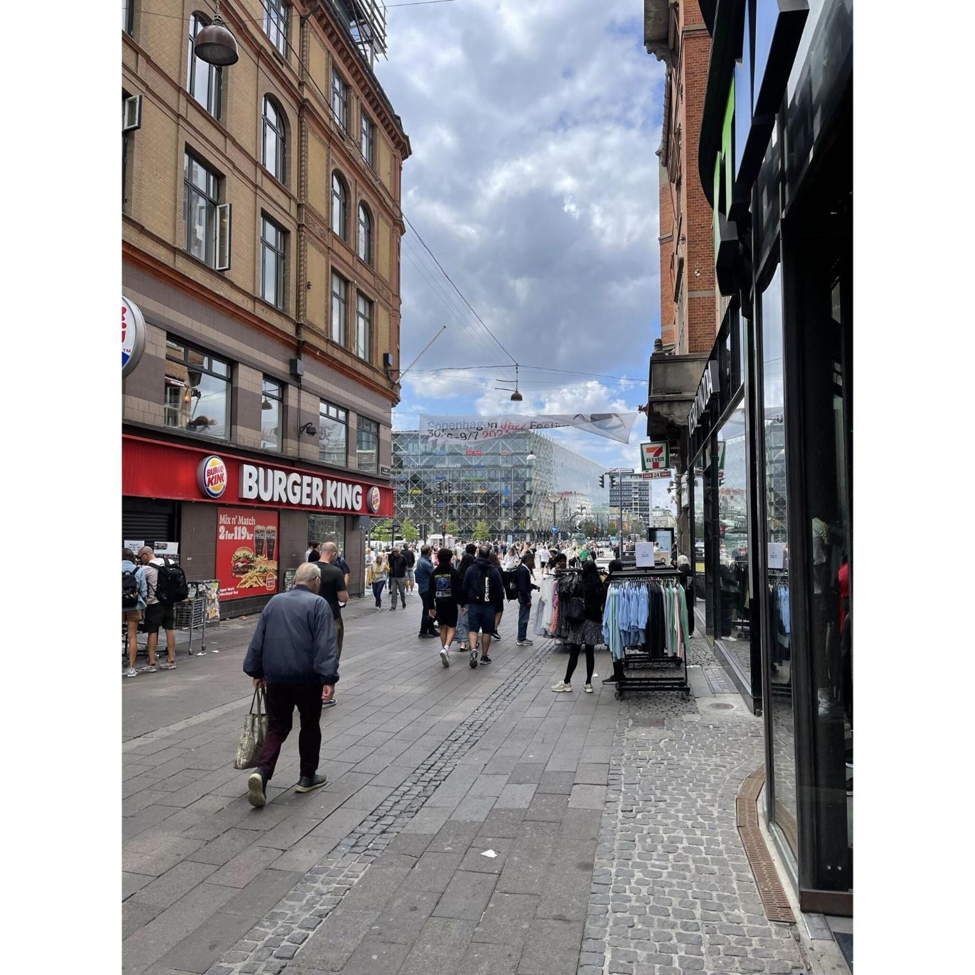 Apartmentincopenhagen Apartment 1555 Dış mekan fotoğraf